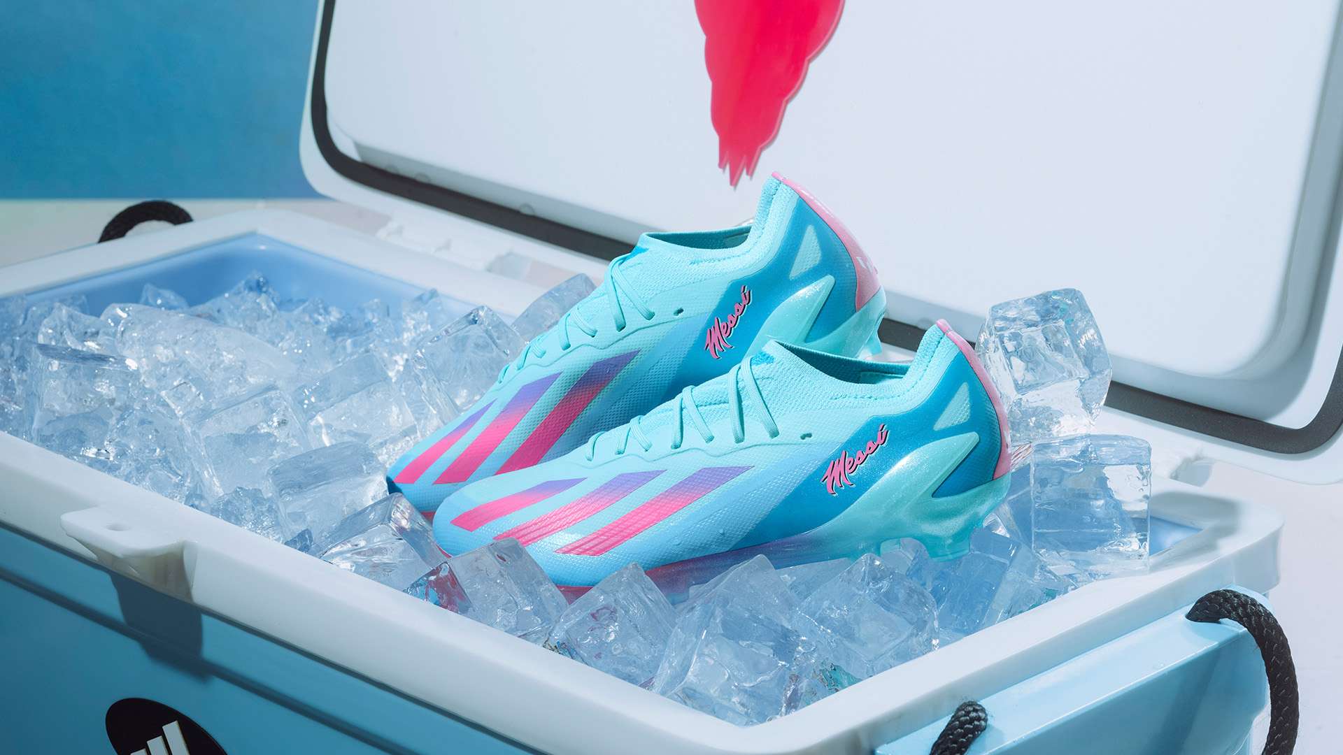 曲弓个人半 曲弓个人半